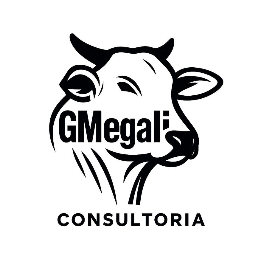 GMegali Consultoria